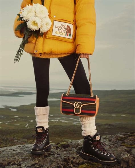 the north face x gucci 2022|More.